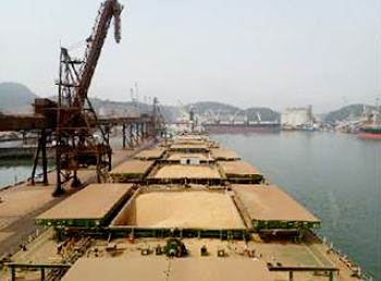 現地視察の様子（1）