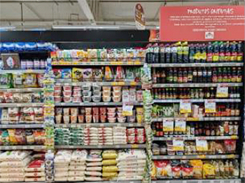 現地視察の様子（3）