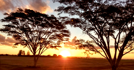 困難を乗り越えて活躍した中南米の日系人のイメージ画像