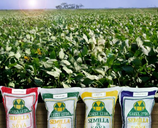 農業のイメージ画像２