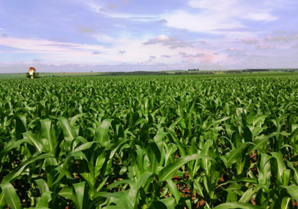 農業のイメージ画像