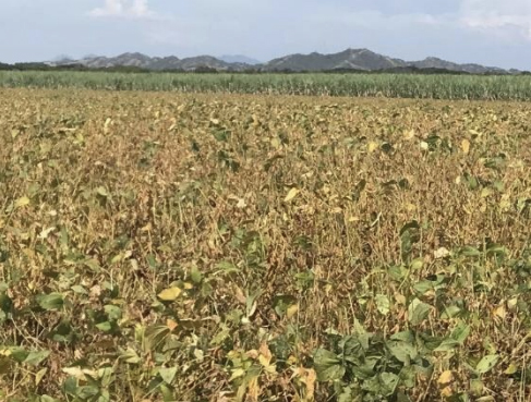 農業のイメージ画像