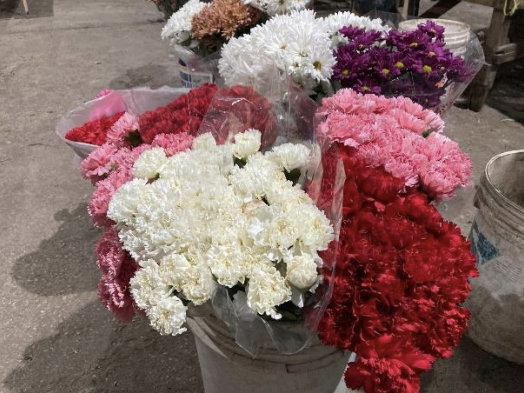 農業（花卉）のイメージ画像